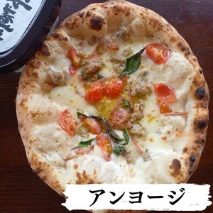 デラックスセット (パーティー用冷凍ピッツァ 10枚)  ピザ チーズ 食べ比べ パーティー | ピザ  冷凍ピザ 長野県 佐久市