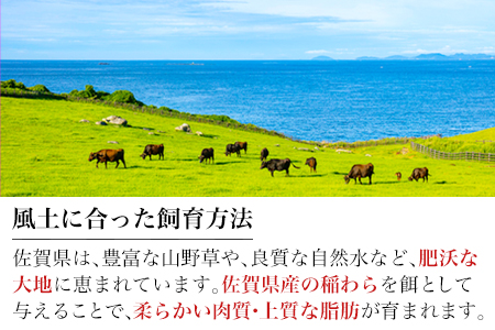 佐賀牛切り落とし 500g (佐賀牛ウデ モモ バラ肉のいずれか) すき焼き しゃぶしゃぶ ギフト