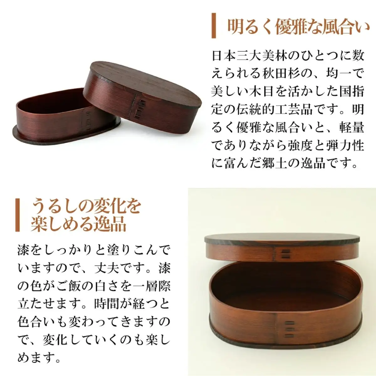 小判弁当（大）ふきうるし塗【仕切付】　350P6002