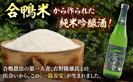 【純米酒】 一鳥万宝 720ml（甘口） 桂川町/瑞穂菊酒造 [ADBF003] 純米酒 日本酒 酒 地酒 米 純米大吟醸