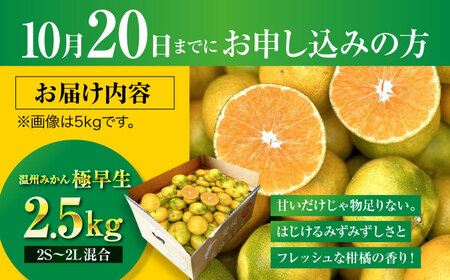 みかん【先行予約】みかん 2.5kg [AGBC004]