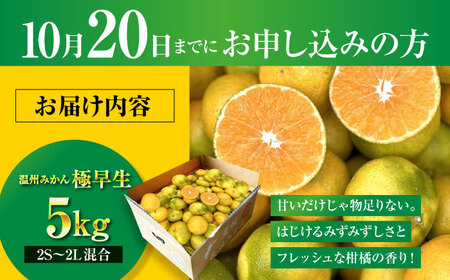 みかん 【先行予約】温州みかん 5kg [AGBC005]