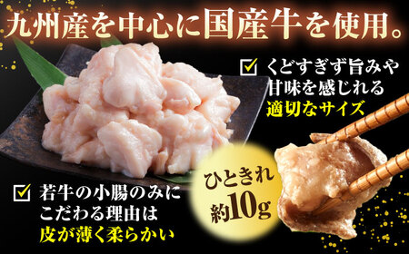 もつ鍋 醤油味 4人前 桂川町/株式会社ラブ [ADBQ003] おおやま