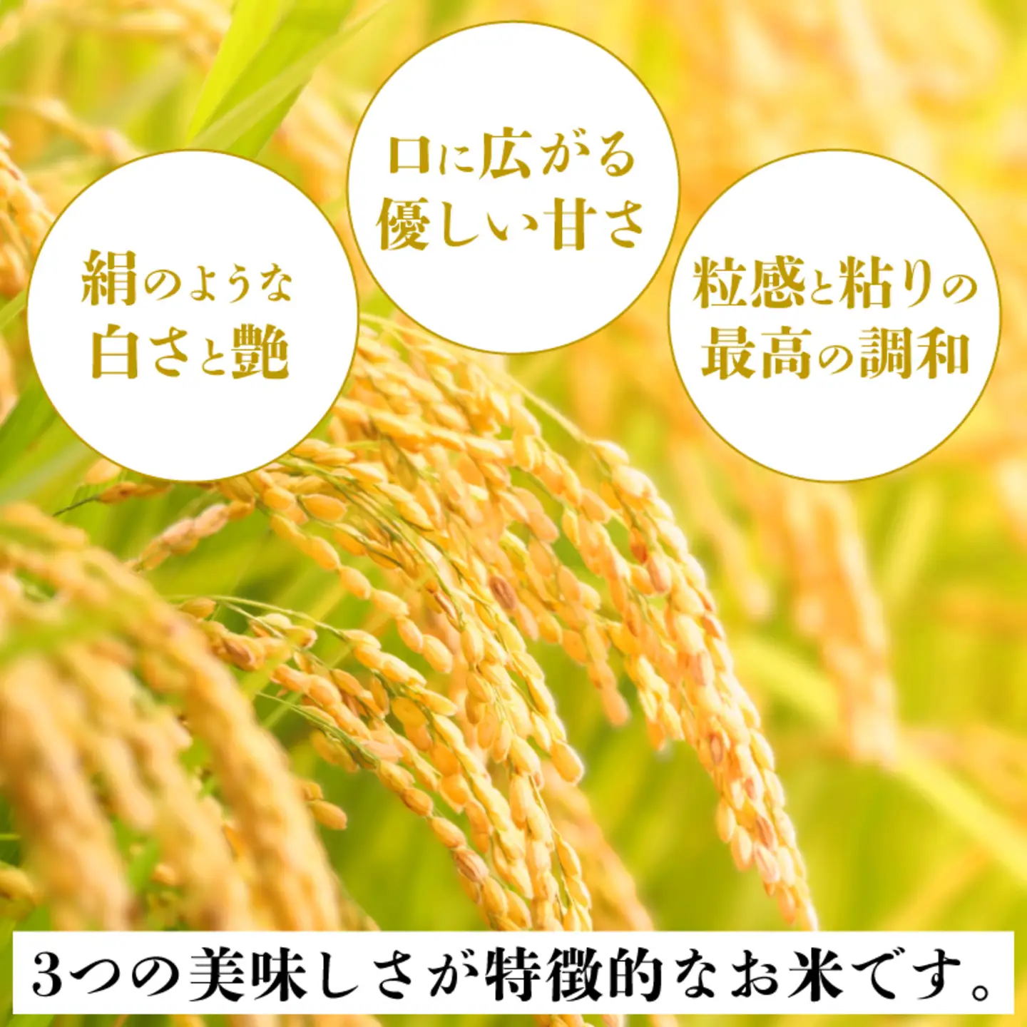 いちほまれ　パックご飯　18食