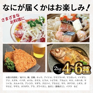 SB0523　地魚おまかせセット　計2kg以上(4～6種類入)