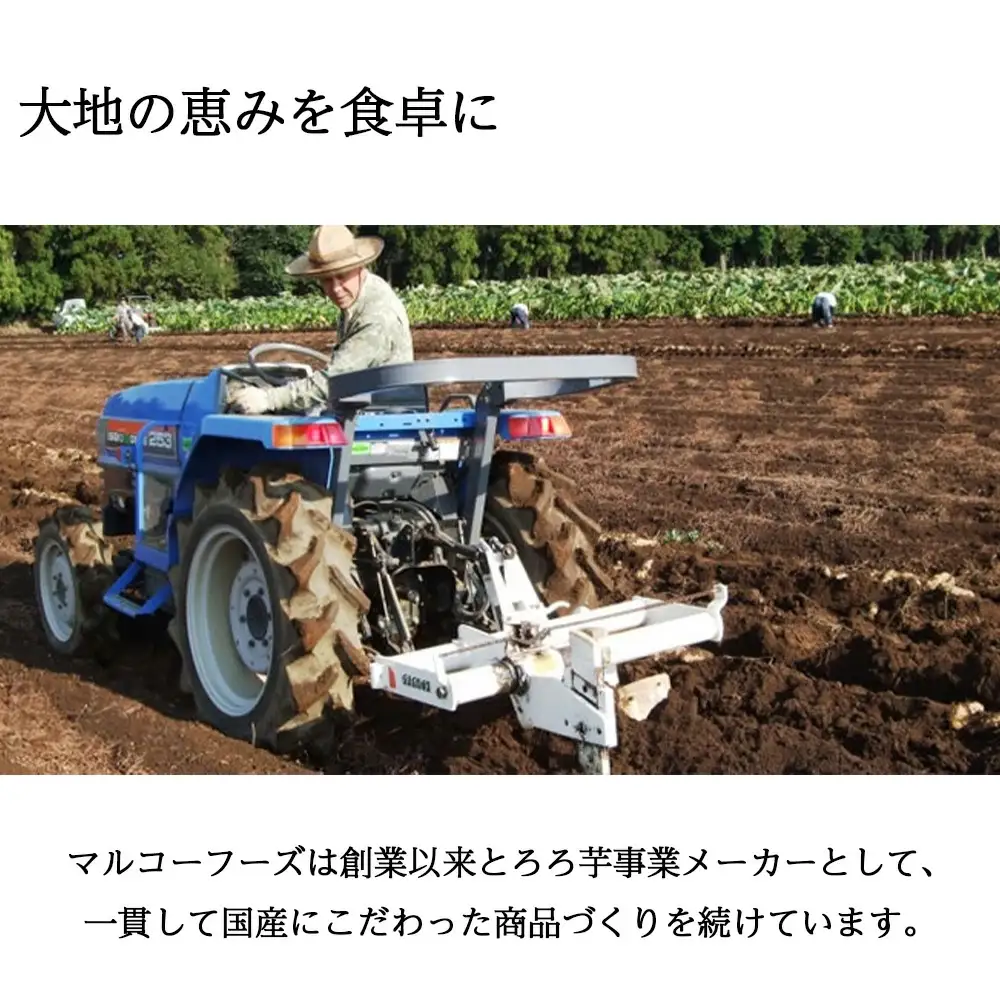 ＜国産長芋使用＞手軽に使える オクラと長芋ミックス　500g　【11218-0743】オクラ　長芋