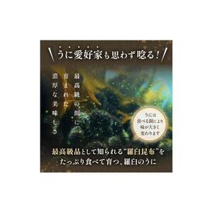 天然 エゾバフンうに （上）塩水うに 200g （100g×2枚） ミョウバン不使用 北海道知床羅臼産