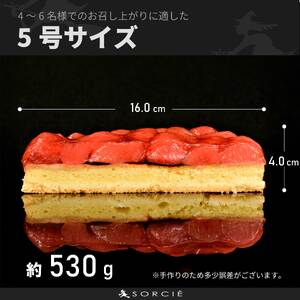 【着日指定可】誕生日ケーキ 苺 のコンポート タルトケーキ 5号 直径16cm 4人～6人分 530g 【バースデー飾り付】 スイーツ ギフト いちご | デザート お誕生日 誕生日 愛媛県 松山市【IT014】