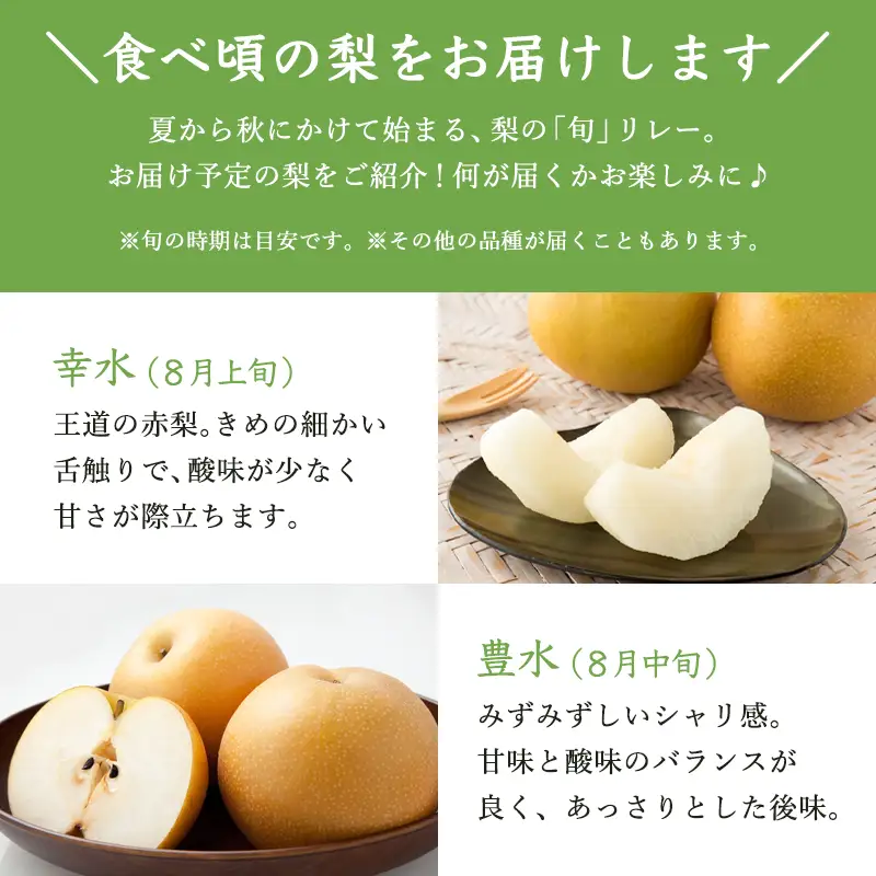 『先行予約』今が食べ頃 特栽 旬の梨5kg【令和8年の夏ごろの発送】和梨 幸水 豊水 新高 あきづき 愛宕 果物 フルーツ くだもの
