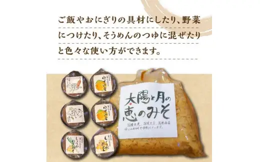 太陽と月の恵のみそ1個 (1kg) つけみそ6個 (ゆず しょうが しょうがねぎ とりそぼろ とりそぼろピリ辛) セット 味噌 調味料