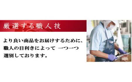 【7営業日以内発送】すえひろブロック 100g×5個セット ／ 鯨 クジラ肉 鯨料理 セット 珍味 畝須