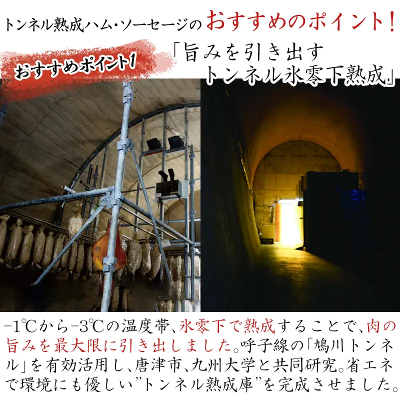 トンネル氷零下熟成ハム・ソーセージセット TPC-2  詰合せ おかず おつまみ サラミ 生ハム ベーコン セット ギフト