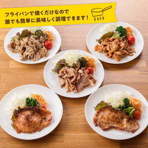 【12ヶ月定期便】宮崎県産豚肉バラエティ4種セット2.5kg【【3ヶ月定期便】月替わりおかずセット【 肉 豚 豚肉 ロース ハンバーグ カレー  】 肉 豚 豚肉 ロース バラ 切り落とし 】