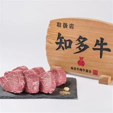 愛知県半田市　知多牛ヒレステーキ500g【配送不可地域：離島・北海道・沖縄県・東北・中国・四国・九州】【1542919】