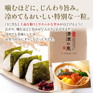 【通年受付】令和7年産魚沼産特別栽培米コシヒカリ［清津の恵］精米5kg　全6回 十日町市 十日町 米