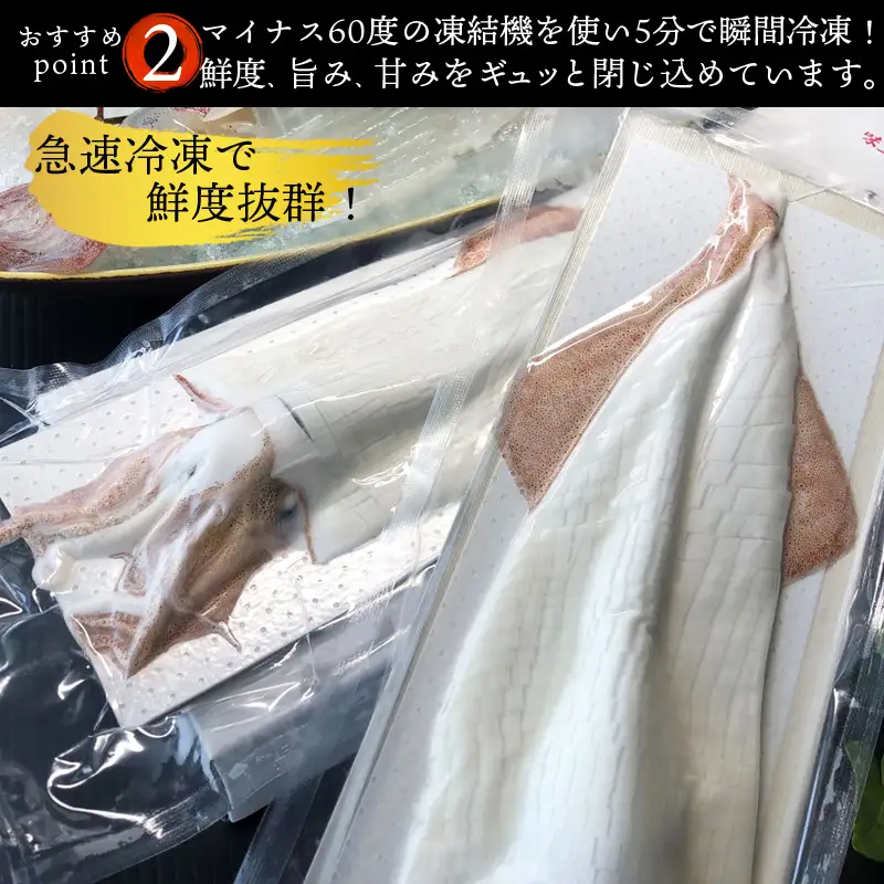 『先行予約』呼子のいか活造り2杯! コリコリ甘い鮮度抜群の透明感! 約200g×2(合計約400g) 刺身 ギフト 冷凍 ※水揚げあり次第6月以降順次発送させていただきます。