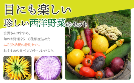 【アグロノーム】季節のお野菜セット（２～３人様向け）