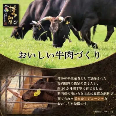 Y09-09  博多和牛 生ハンバーグ 5個セット ハンバーグ
