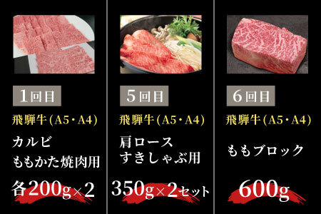 飛騨牛 定期便 全6回 約4.22kg 4人前 すき焼き しゃぶしゃぶ ステーキ 焼肉 BBQ ロース カタロース ロースステーキ モモ カタ 贅沢 贈り物 6ヶ月 定期 おすすめ 選べる 人気 飛騨 ブランド牛 肉のひぐち