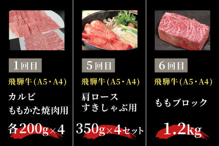 飛騨牛 定期便 全6回 約8.44kg 8人前 すき焼き しゃぶしゃぶ ステーキ 焼肉 BBQ ロース カタロース ロースステーキ モモ カタ 贅沢 贈り物 6ヶ月 定期 おすすめ 選べる 人気 飛騨 ブランド牛 肉のひぐち