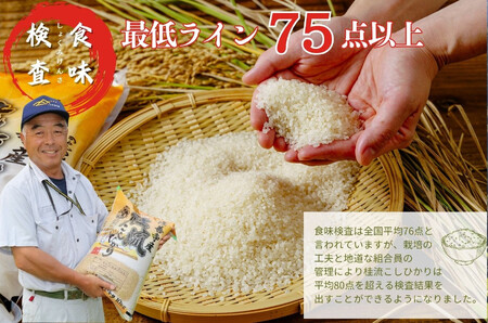 米【３回定期便】 桂流 こしひかり 米 （ 数量限定 100 セット）米 特別栽培米 米 ５㎏　045-003