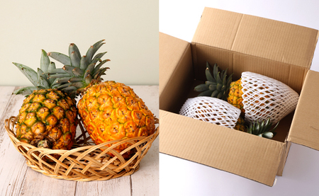 【先行受付】徳之島 天城町産 パイナップル 約2kg 2玉～3玉 スムースカイエン パイン フルーツ 果物