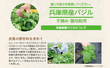 神戸ＭＣＣ 兵庫県産バジルのジェノベーゼソースセット【兵庫グルメ バジル ジェノベーゼ ソース 国産 パウチ 10食分 手摘み 露地栽培 安心 安全 送料無料 】
