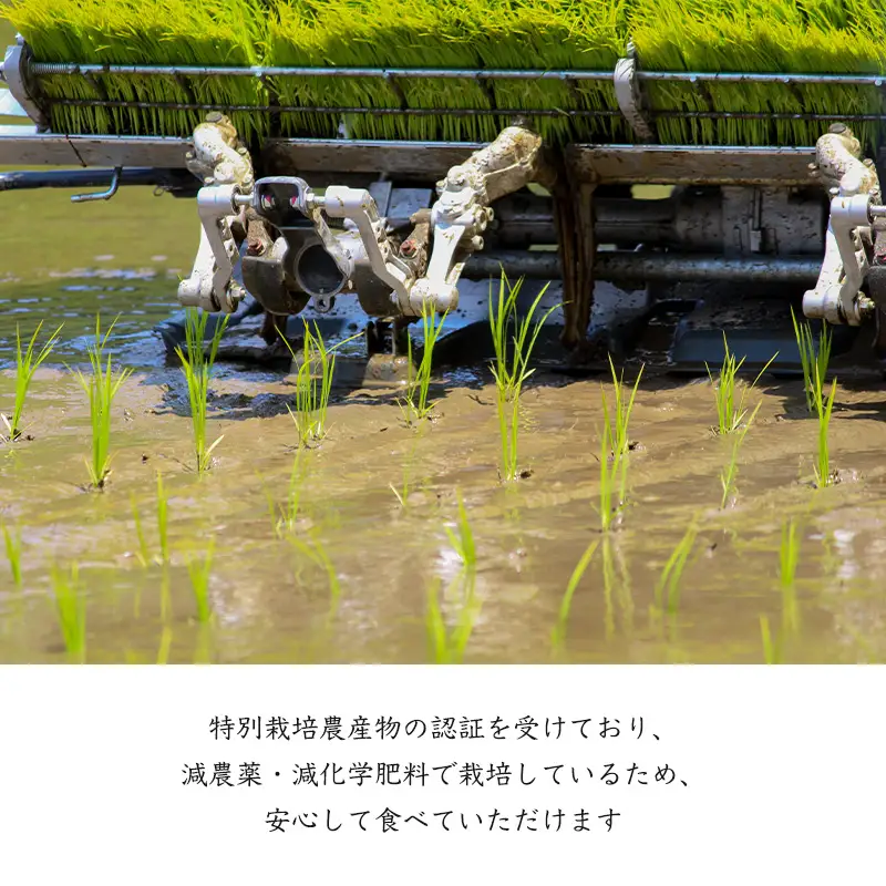 特別栽培棚田米「蕨野」5kg×2袋(合計10kg)  家庭排水が一切入らない自然水で作られたお米 10日に1回精米で新米のような味わい