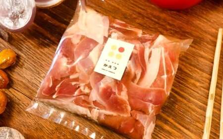 【7営業日以内発送】長崎県産 対馬地鶏 焼肉 セット (自家製タレ付)  計約500g ／ 鶏肉 地鶏 モモ肉 ムネ肉 国産 長崎