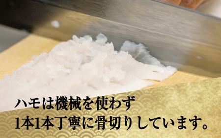 淡路島黄金はも湯引き 4~5人前　酢味噌・梅肉付き  / はも