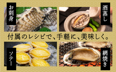 天然活アワビ 特大サイズ 3個