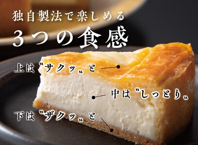 チーズケーキ トロイカチーズケーキ | 5号  D0493
