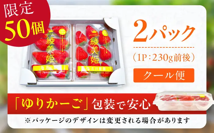 【★先行予約 2027年2月より発送】〈幻のいちご〉綾美姫2パック / いちご[AFCC001]