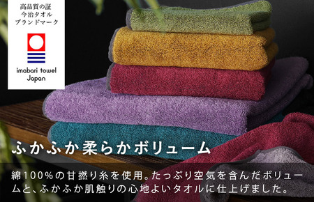 （今治タオルブランド認定）日本の伝統色　フェイスタオル2枚セット＜威光茶×紫紺色＞【IB05260FT2G】