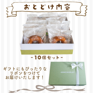 【焼きドーナツ】 10個 ドーナツ JY001-2