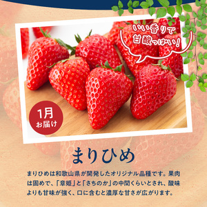 G60-T82_【定期便　全3回】魚鶴商店　旬のフルーツ定期便