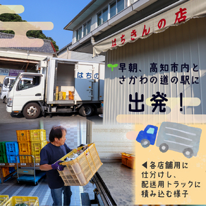 【ふるさと納税】＜年4回 定期便はちきんの店 野菜 セット 7~10品＞ 野菜詰め合わせ 詰合せ 高知の野菜 旬の野菜【冷蔵】高知県 佐川町