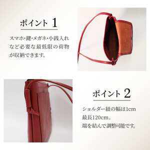 本革 スマート ショルダーバッグ  ブラック バック