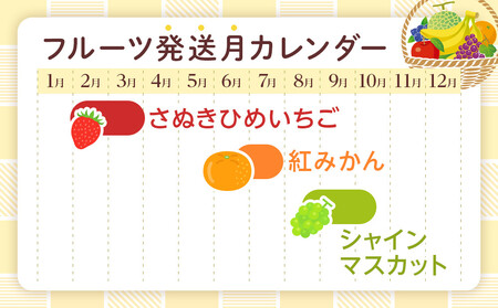 【全3回】極みのフルーツ定期便 (化粧箱入り)