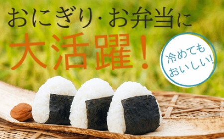 ゆめみづほ 5kg 令和7年産