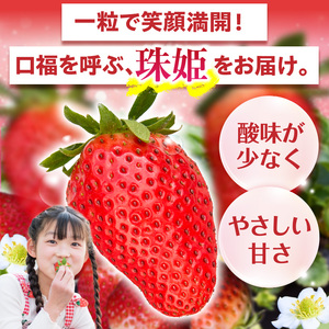 【2027年1月～3月上旬発送】化粧箱入りいちご【珠姫】 酸味が少なくやさしい甘み 珠姫 いちご 2パック 9~15粒 化粧箱 卵型 粒が大きい 生駒いちご園 果物 フルーツ デザート 贈り物 お取り寄せ お取り寄せフルーツ 奈良県 生駒市 送料無料