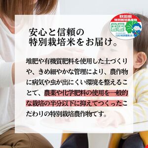 《定期便2ヶ月》 白米 特別栽培米 秋田県産 あきたこまち 米屋が認めたお米 「かとうくん」10kg（5kg×2袋）×2回 合計20kg