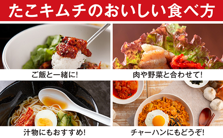 たこキムチ 100g×5個 MATE001