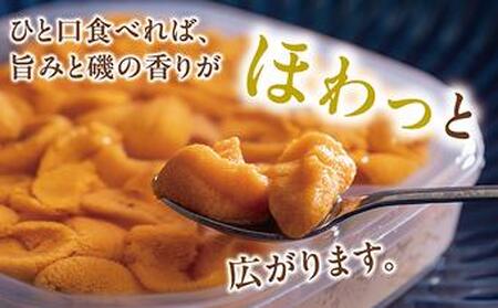 塩水ウニ 100g (100g×1個) 生うに ウニ 雲丹 ムラサキウニ バフンウニ 生鮮 無添加 魚介類 塩水 生食 北海道 松前町 送料無料 MATM007