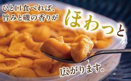 塩水ウニ 300g (100g×3個) 生うに ウニ 雲丹 ムラサキウニ バフンウニ 生鮮 無添加 魚介類 塩水 生食 北海道 松前町 送料無料 MATM009