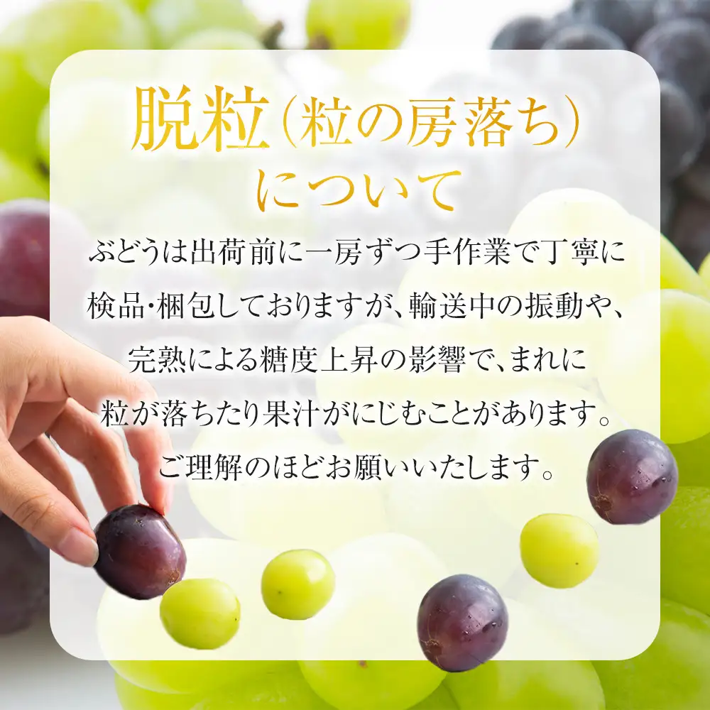 全6回 有田川町から贅沢定期便（5月～10月発送）フルーツ うなぎ スイーツ 梅干し など