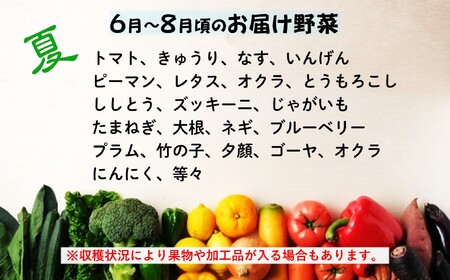  旬の野菜セット A 《 6品 以上 》 (くろいわ産直)  黒岩産 野菜 セット 岩手県 北上市 B0381