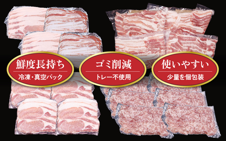豚肉ロース 1.2kg（300g×4）冷凍 真空パック 小分け 岩手県 北上市 D0578 希少豚 小分け 真空パック お歳暮 お中元 ギフト 栄養豊富 ビタミンB 四元豚 希少豚 お米育ち豚 ありすポーク 国産 日本産 