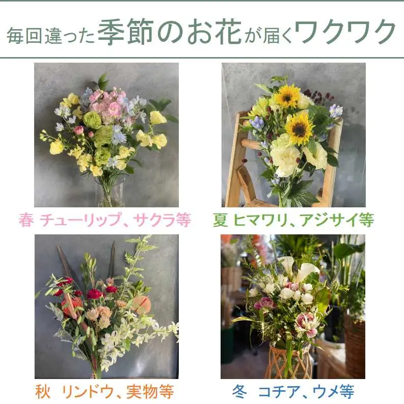 季節の花束 花束 | 【定期便/12ヶ月】 O0035