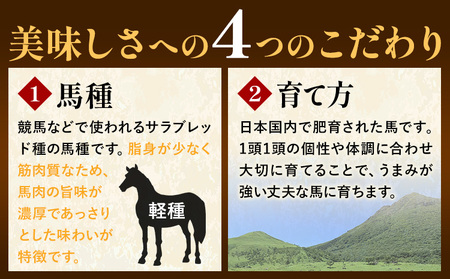 馬肉 カット済み 国産 馬刺し 約 120g 40g × 3個 道の駅竜北